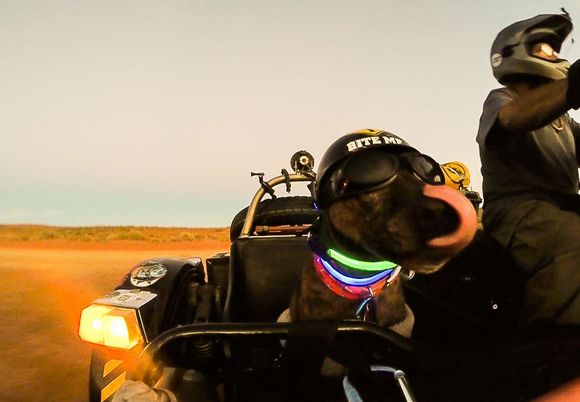 Valley of the Gods, Utah... Happy passenger... and driver!