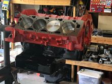 It’s starting to come together thanks for all the help and advice guys 👍🏻