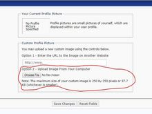 My Post Pictures