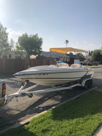 She little dirt but cleans up nicely 