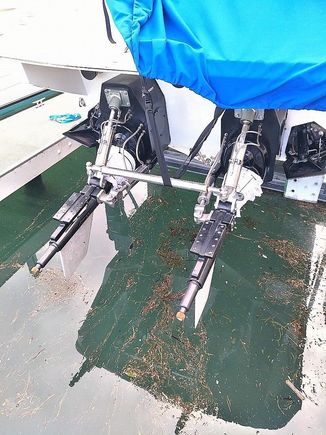 First Bravo 2's, then Bravo 3's now these and still not trailed. 