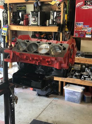 It’s starting to come together thanks for all the help and advice guys 👍🏻