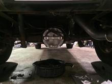 TA girdle and 4" corsa