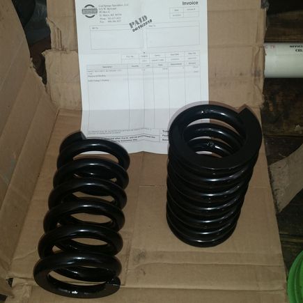 Coil Spring Specialties custom coil springs for the front.