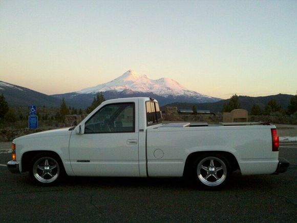 Lola at Mt. Shasta