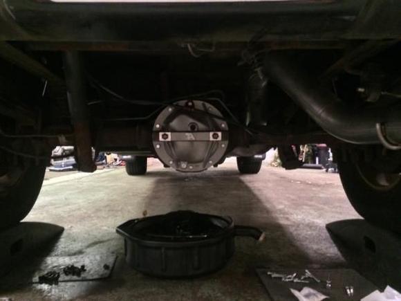 TA girdle and 4" corsa