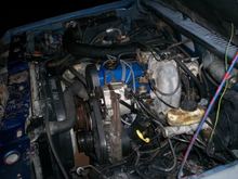 So fresh new and clean!