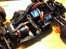 photo 1 (78)