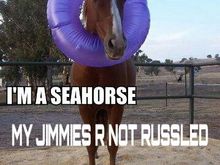 Jimmies not russled