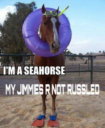 Jimmies not russled