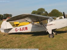 A real Auster. Mine will be substantially white powered by a Laser 80 fourstroke.