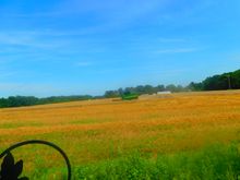 This is happening behind my house right now.