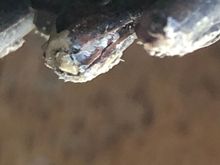 This link split and broke prior. So I am reusing it for testing out a larger pin to see what happens. So far it has been holding perfectly. The Tamiya SS pins are really slick and once the split happens slid/pop out easily. The larger non SS pin does not seem to want to slip out as easily. 