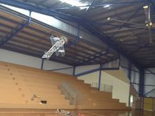 Another brilliant performer in action.