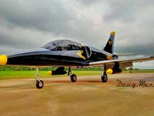 Comp ARF L-39 Turbine