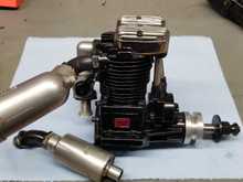 This one wears a home made tag.