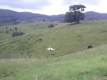 Thunderbolt sling shot.