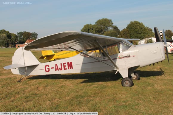 A real Auster. Mine will be substantially white powered by a Laser 80 fourstroke.