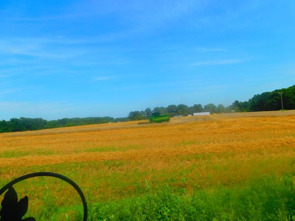 This is happening behind my house right now.