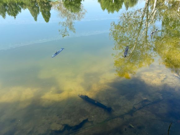 There are 4 subs in this photo.
