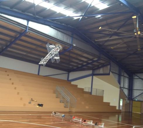 Another brilliant performer in action.