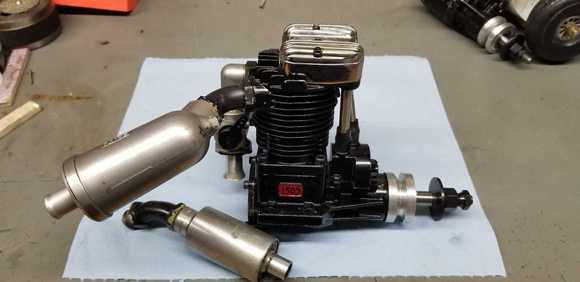 This one wears a home made tag.