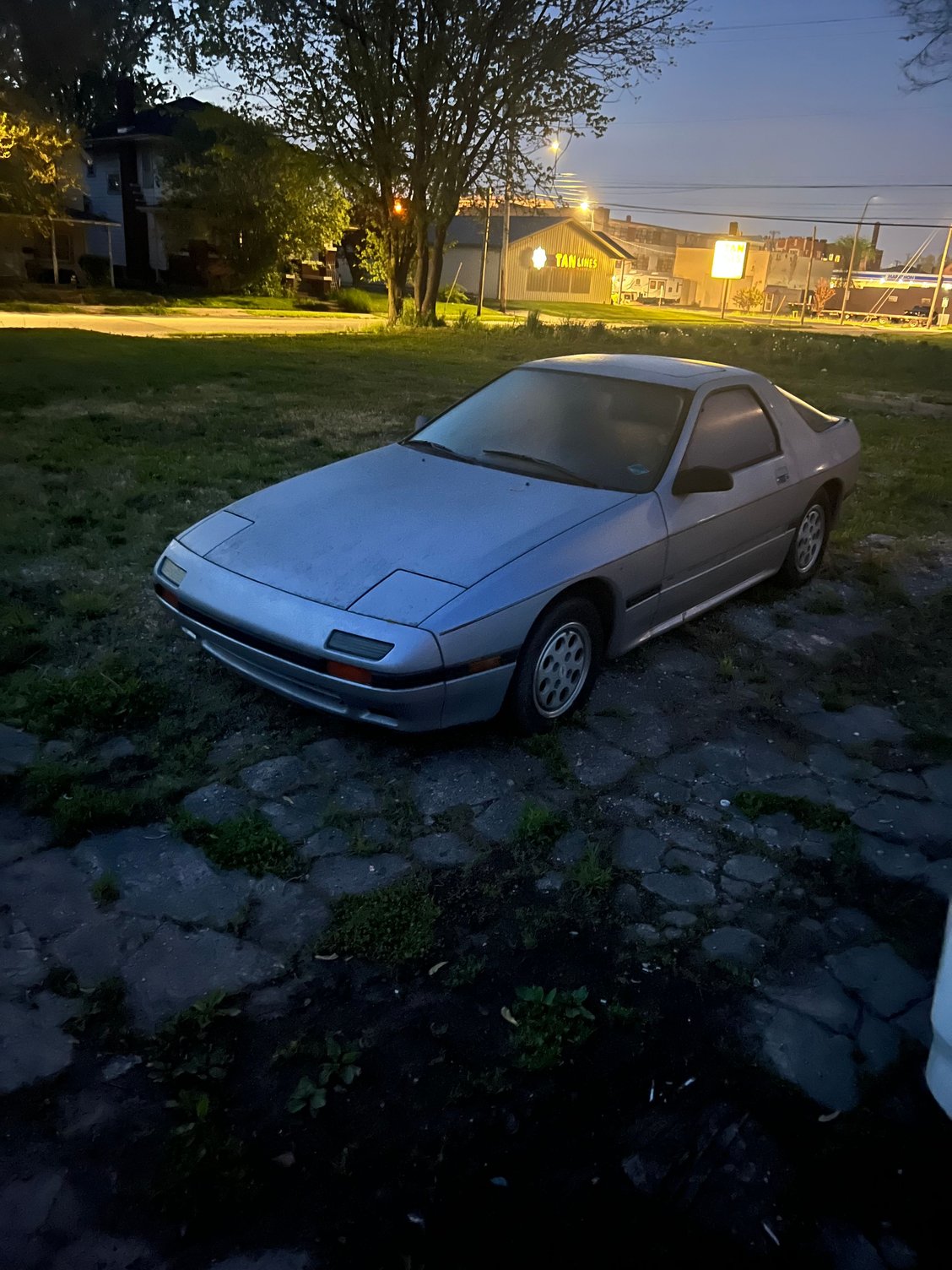 A photo the following evening 