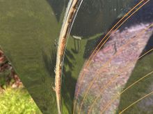 Rust patches have grown considerably since last photo.