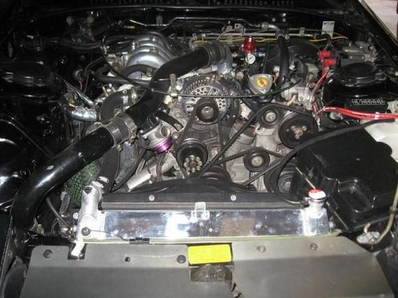 engine bay pics