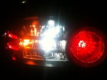 LED Tail Light Bulb Replacements (night)