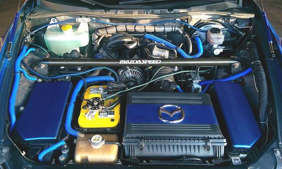 Engine bay after a quick wipe-down, with newly painted/installed hood struts