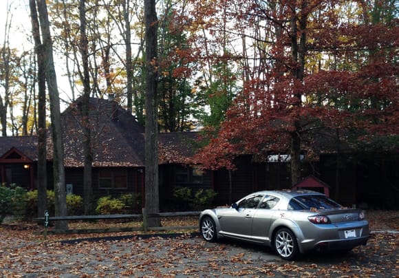 2010 GT enjoying a rest with Fall Colors near Nemacoln, PA