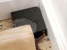 8-12-2018.  Milk snake.