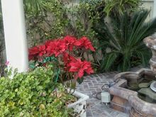 ^2-10-2018.  Trabuco Canyon, CA.