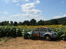 They have a variety of old cars and things for photo ops