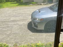 I think this chipmunk has a deathwish (look at the hood scoop)