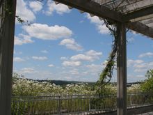 Photo forum theme today, natural framing.