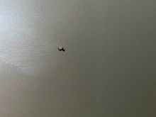 Pin hole, spread wider on door