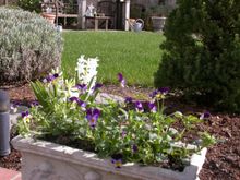 DSCN9548.JPG