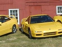yellow_fever.jpg