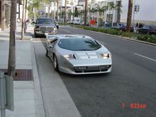 DSC00686.JPG