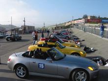 ls2.JPG