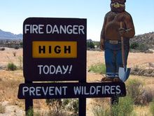 Smokey The Bear web pic.jpg