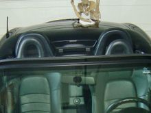 cropped1.jpg