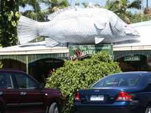 Fish in Auz