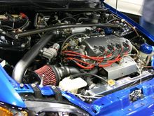 IMG_0064.jpg