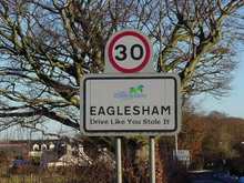 eagle.jpg