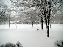 Winter Wonderland II