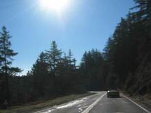 p6.jpg