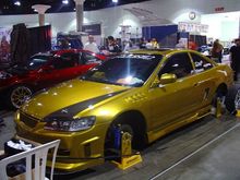 DSC00558.JPG